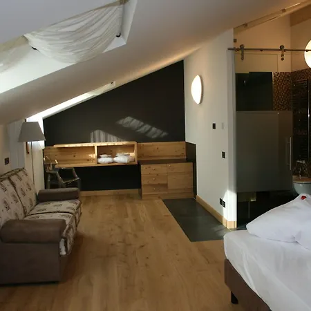 Hotel Orso Grigio 4*